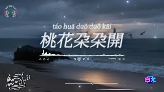 阿牛《桃花朵朵開》翻唱 (Cover by 白允)【我在這兒等着你回來】Chinese Covers of Popular Songs/Latest Trending Chinese Song