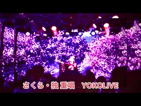 森山直太朗  さくら 独唱  独重唱COVER  BY  南陽子 YOKOLIVE