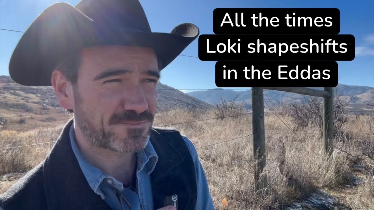 All the times Loki shapeshifts in the Eddas
