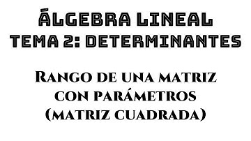 ejemplo 09 rango de una matriz con parametros por determinantes