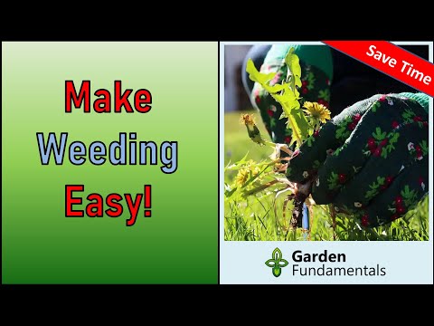 Make Weeding Easier 😡🤒👿 Spend Less Time Weeding
