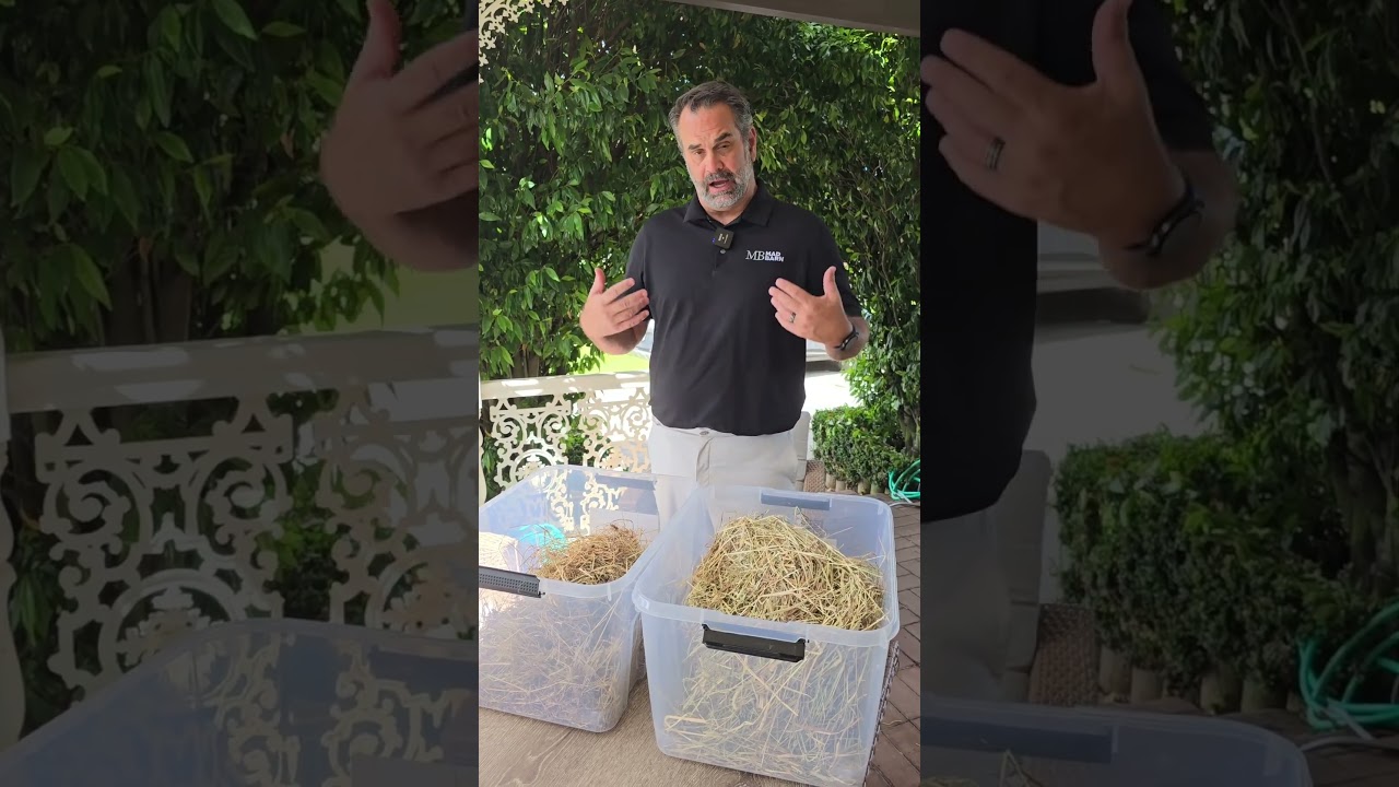 Switching a Horse's Hay