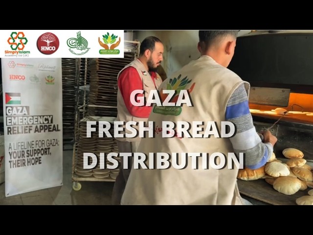 GAZA: FRESH BREAD DISTRIBUTION