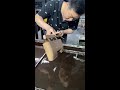 Plastic water transfer printing processing