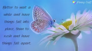 The Butterfly & The Flower Story