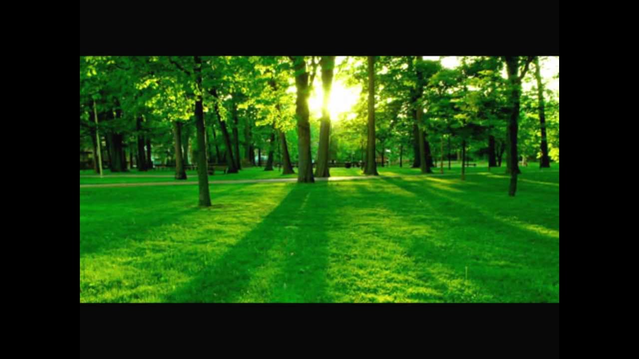 Watch ala - VIVACITY on YouTube Watch ala - VIVACITY on YouTube