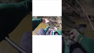 Tidal 4 pounder INHALED the Keitech swimbait #kayakfishing #bassfishing #keitech