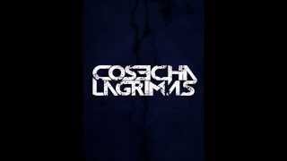 Cosecha Lagrimas - Interlude