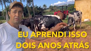 VACAS MAIS SAUDÁVEIS E REAPROVEITAMENTO NA PRODUÇÃO