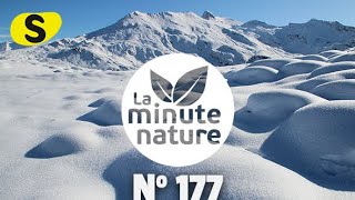 DORMIR DANS LA NEIGE (No 177)