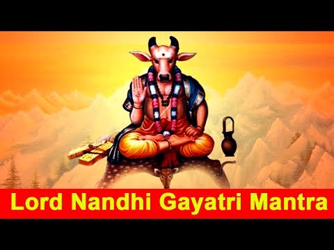 Lord Nandhi Gayatri Mantra  SpiritualGurus