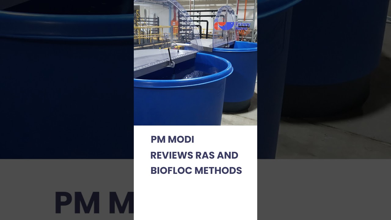 Fishery News | Today's Headlines | Latest Updates