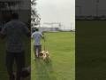 Tu jo nehi to mera koi nehi hai #doglover #pets #petfriendly
