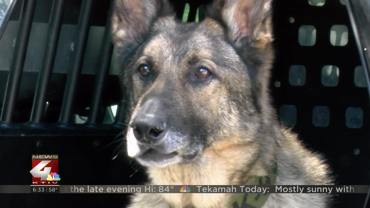 Sac County's only K9 officer retires, sheriff asking for donations to keep K9 program going