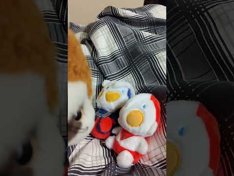 火曜サスペンス劇場ラストシーン。