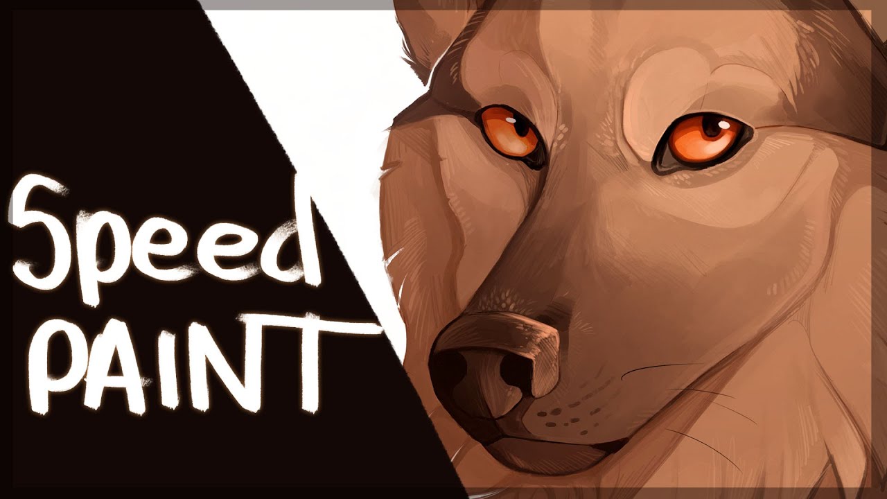 Speedpaint || German Shepherd