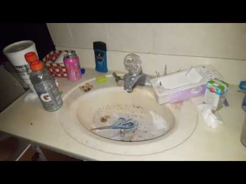 How squatters live vol. 1