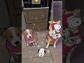 Im going to cry 🤍🥹 #filtrosnoopy #filtroia #feliznavidad