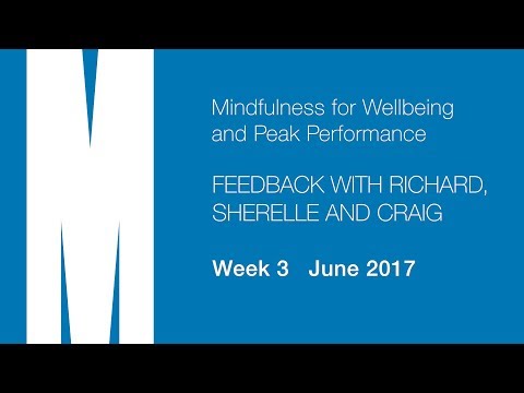 Feedback from Richard, Sherelle and Craig - Week 3 - June 2017