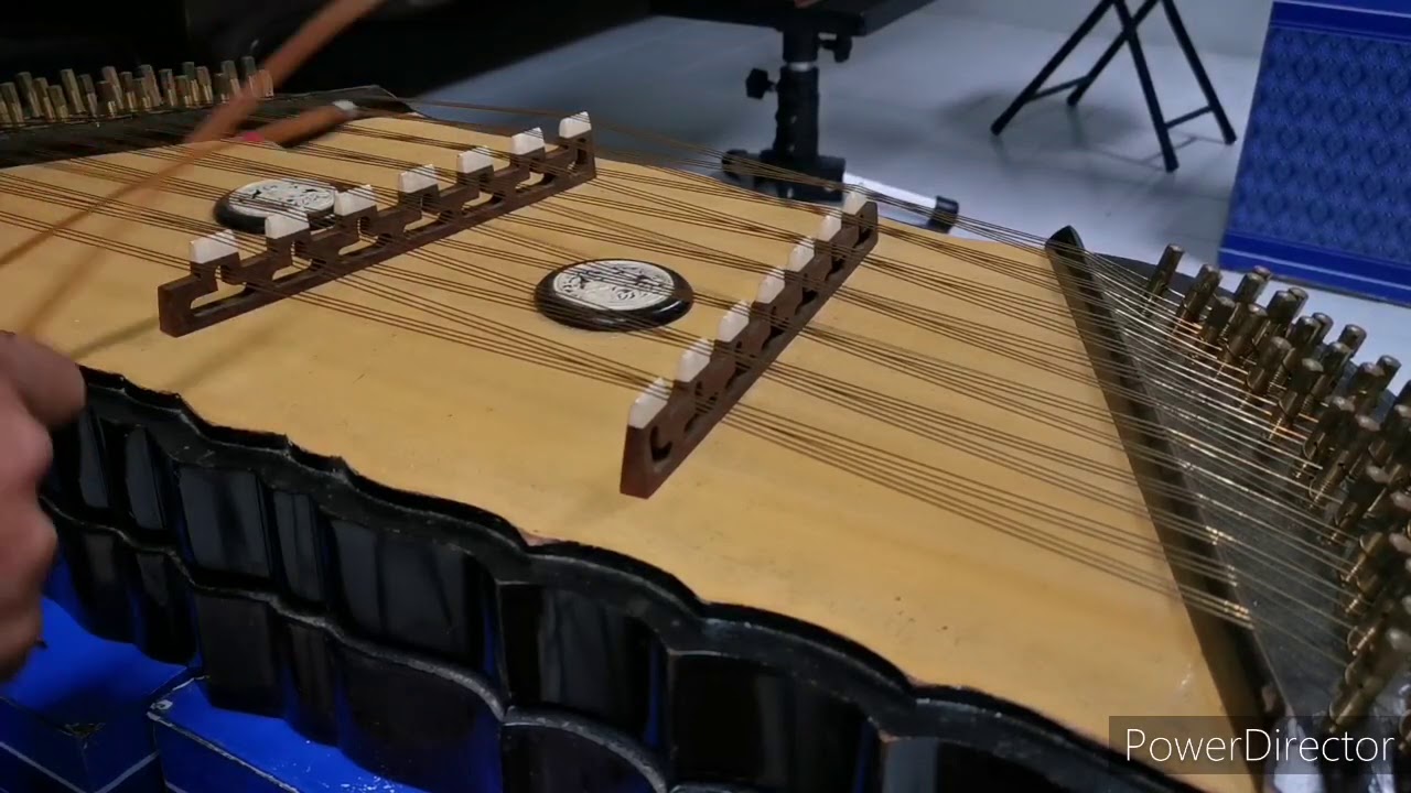 โสมส่องแสง