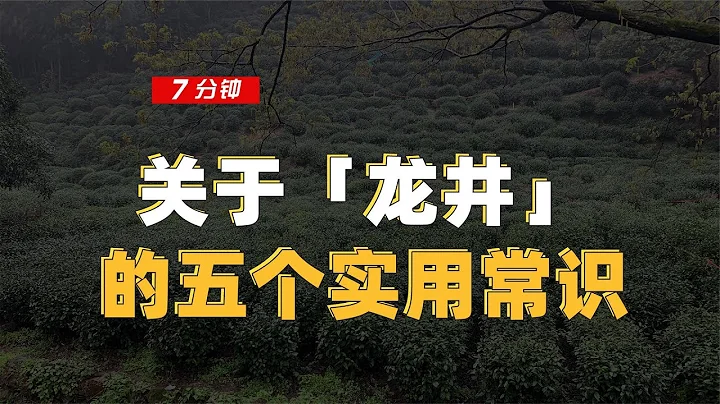 【百味茶集】关于「龙井」茶的五个实用常识 - 天天要闻