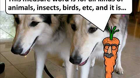 Handy Measure Words - 只 - Animals