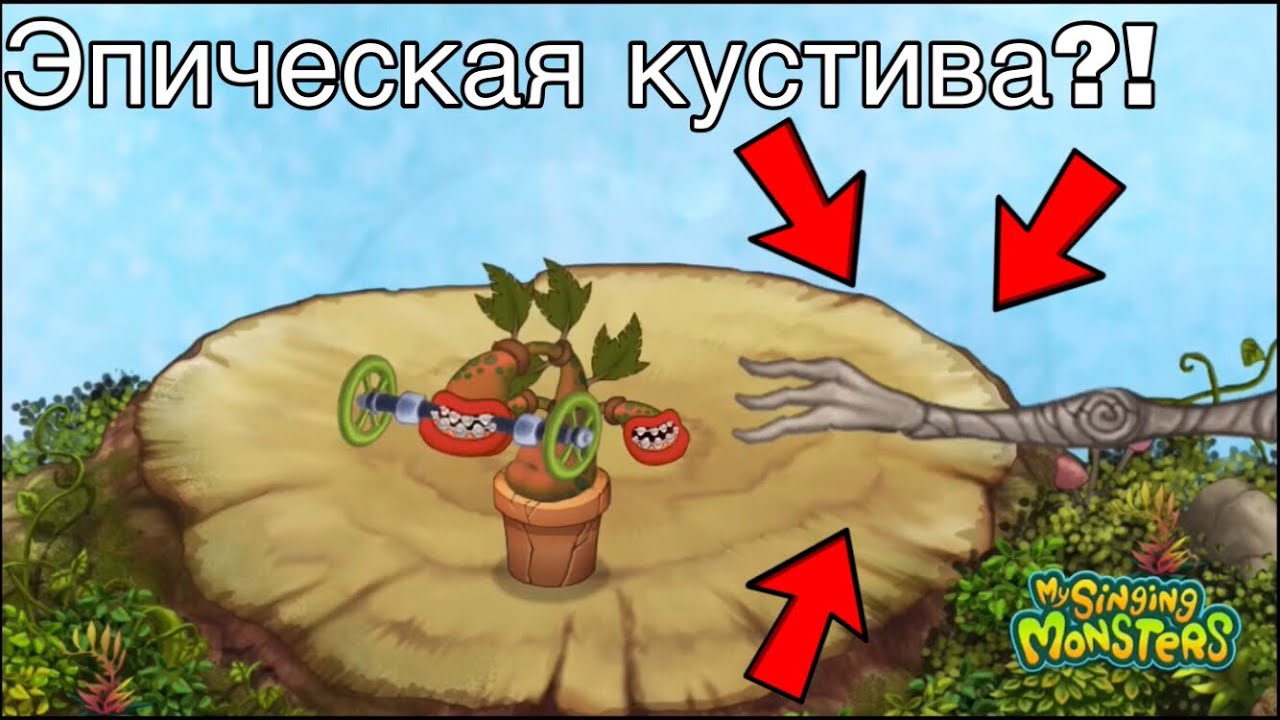 Кустива как выводить