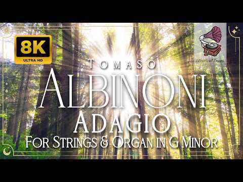 Tomaso Albinoni | Adagio for Strings & Organ in G Minor | Moving Nature Visuals