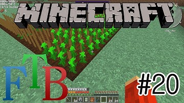 Minecraft FTB: Divey