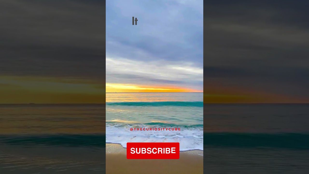 The Remarkable Flexibility of the Brain  