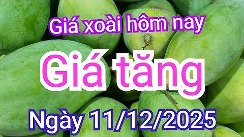 giá xoài hôm nay ngày 11/12/2025