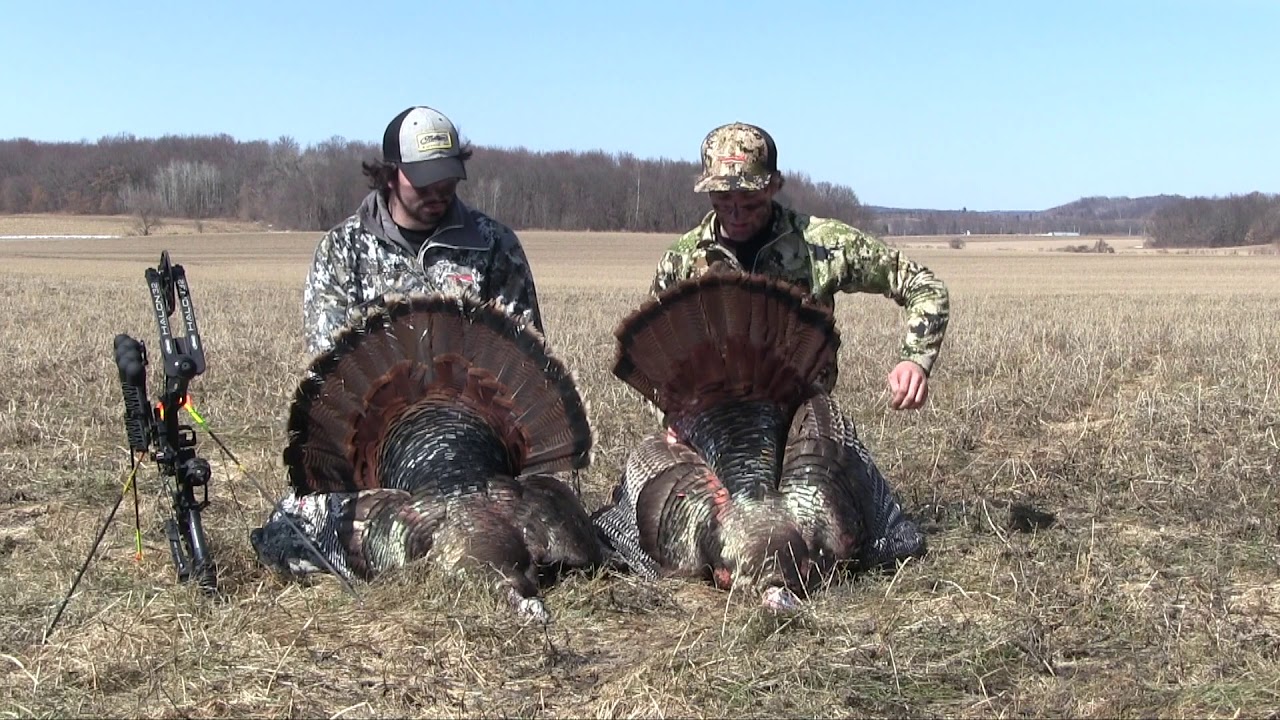 EPIC Wisconsin Turkey Hunting Spring Season YouTube