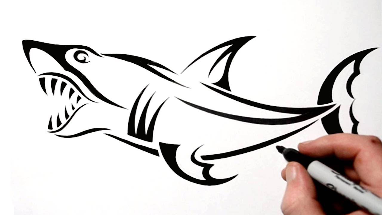 How to Draw a Tribal Shark Tattoo Design - YouTube