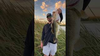 Famous Gotta love that view 👀 #bass #fishing #steveharvey Profile