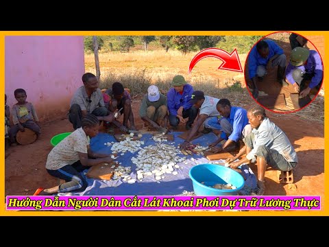 Video Nông Nghiệp VIỆT NAM ở Châu Phi || Hướng Dẫn Người Dân... - youtube