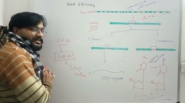 RNA editing  site specific deamination Lecture -1