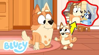 Bluey La Madre de Chilli 💔