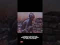 Is This the Varginha Alien?