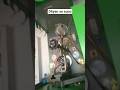 ghost short video viral trending shots video pump masin 🛠🔧🛠🔧...