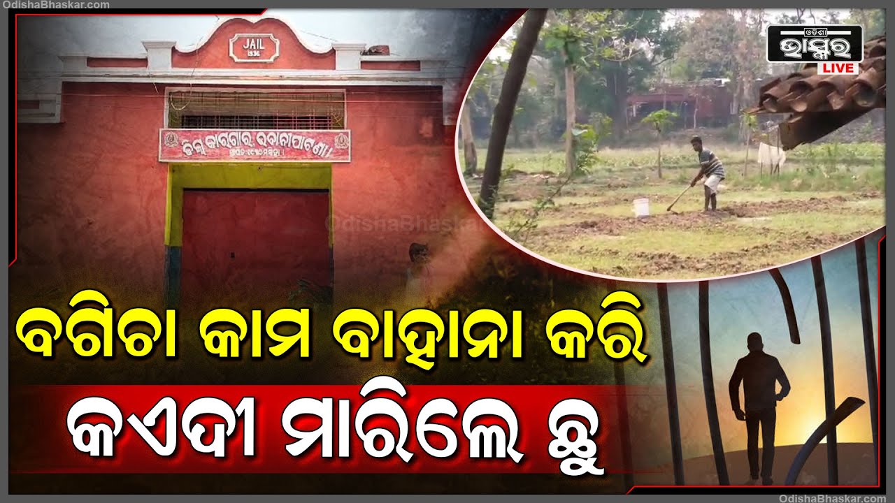 ପୁଲିସ ଆଖିରେ ଧୂଳି ଦେଇ କଏଦୀ ମାରିଲେ ଚମ୍ପଟ । ବଗିଚା କାମ ବାହାନା କରି ପାଚେରୀ ଡେଇଁ ଦୌଡି ପଳାଇଲେ ୨ କଏଦୀ ।