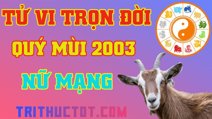Tử Vi Trọn Đời Quý Mùi 2003 - Chi Tiết Về Cuộc Đời Và Vận Mệnh