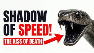 Black Mamba in Action | Nature's Deadliest Predator