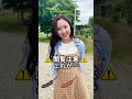 これがこう!ピタ止めチャレンジ!#shorts