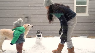 Who ate the snowman's nose?