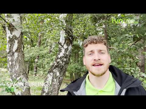 Video: Groei berkbome in Idaho?
