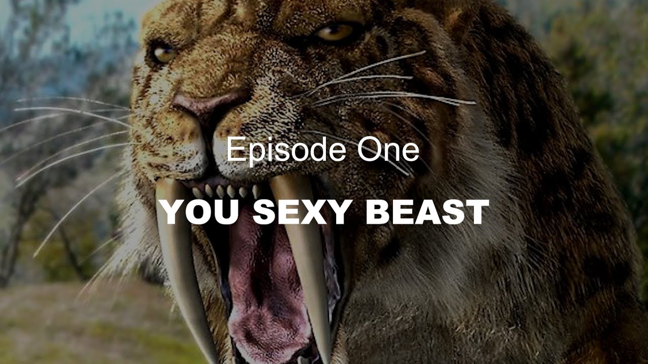 Paleo Human Mysteries A Four Part Series Episode 1 YouTube