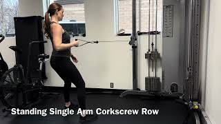 Standing Single Arm Corkscrew Row