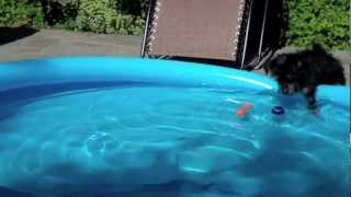 Summertime With Lulu