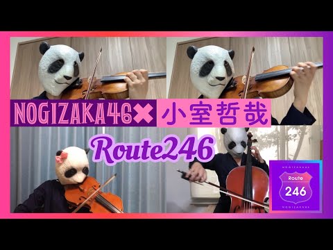 Route246 / 乃木坂46 （バイオリン、チェロ、ビオラ）弦楽四重奏で弾いてみた！