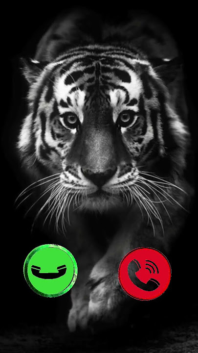 Beautiful OPPO Mobile ringtone 😯😯😯😯🤙 #smartphone #ringtone #phonecall #ringtones #tech #video